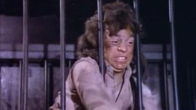 La Petite Maison dans la prairie