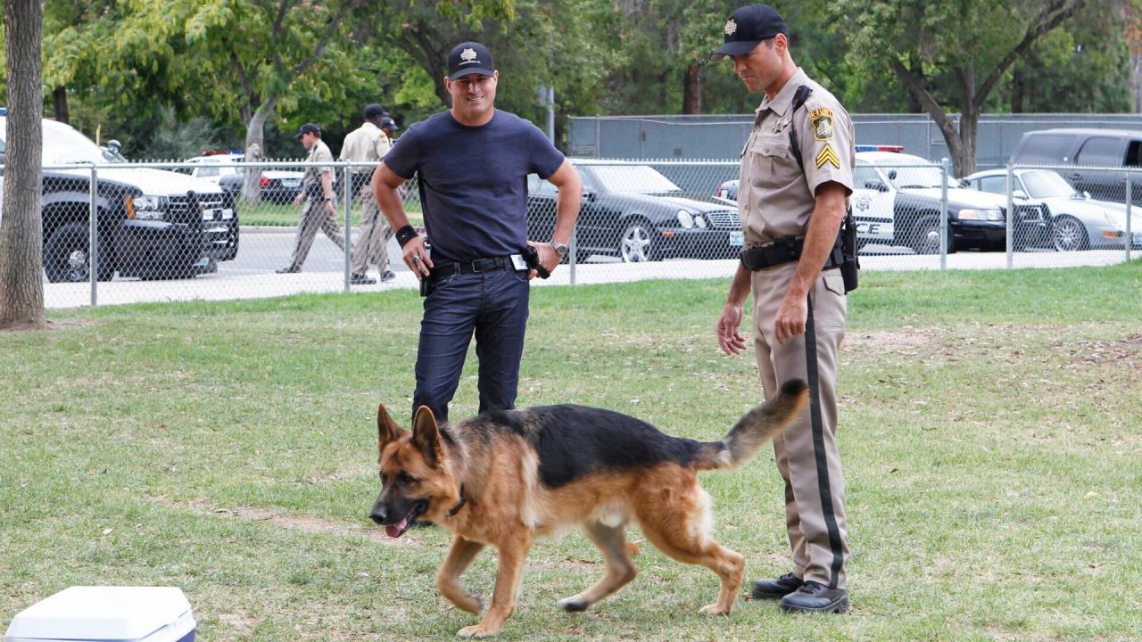 Les Experts S13 E5