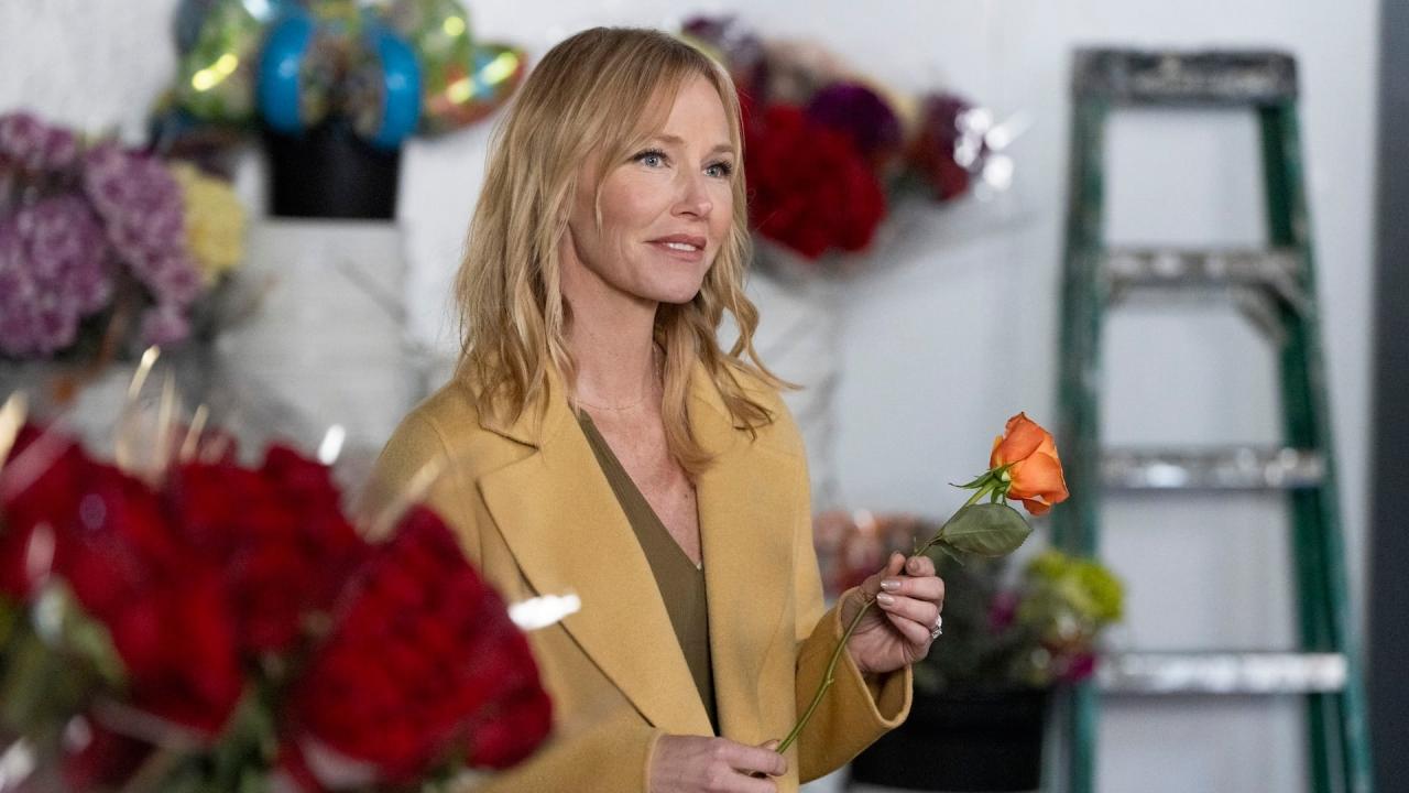 New York Unité Spéciale