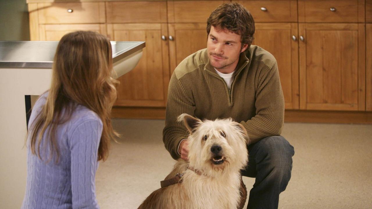 Grey's Anatomy S2 E23