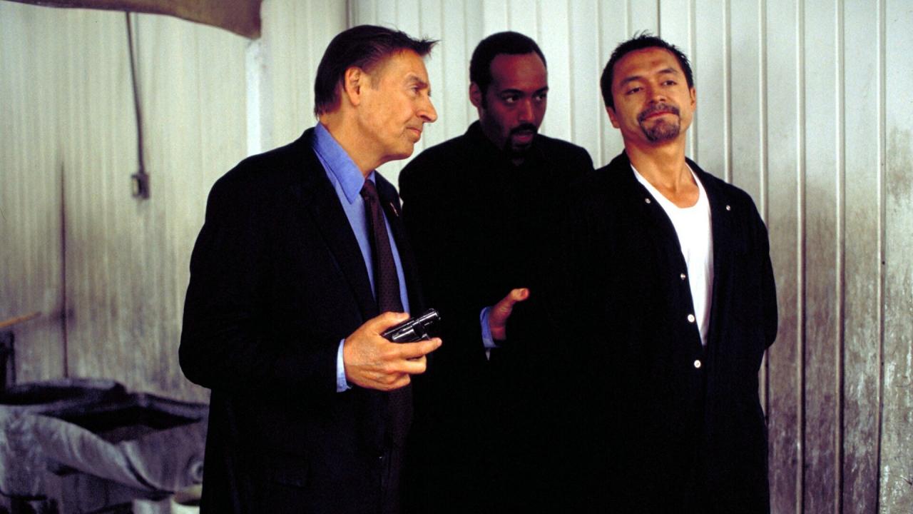 New York, police judiciaire S13 E11