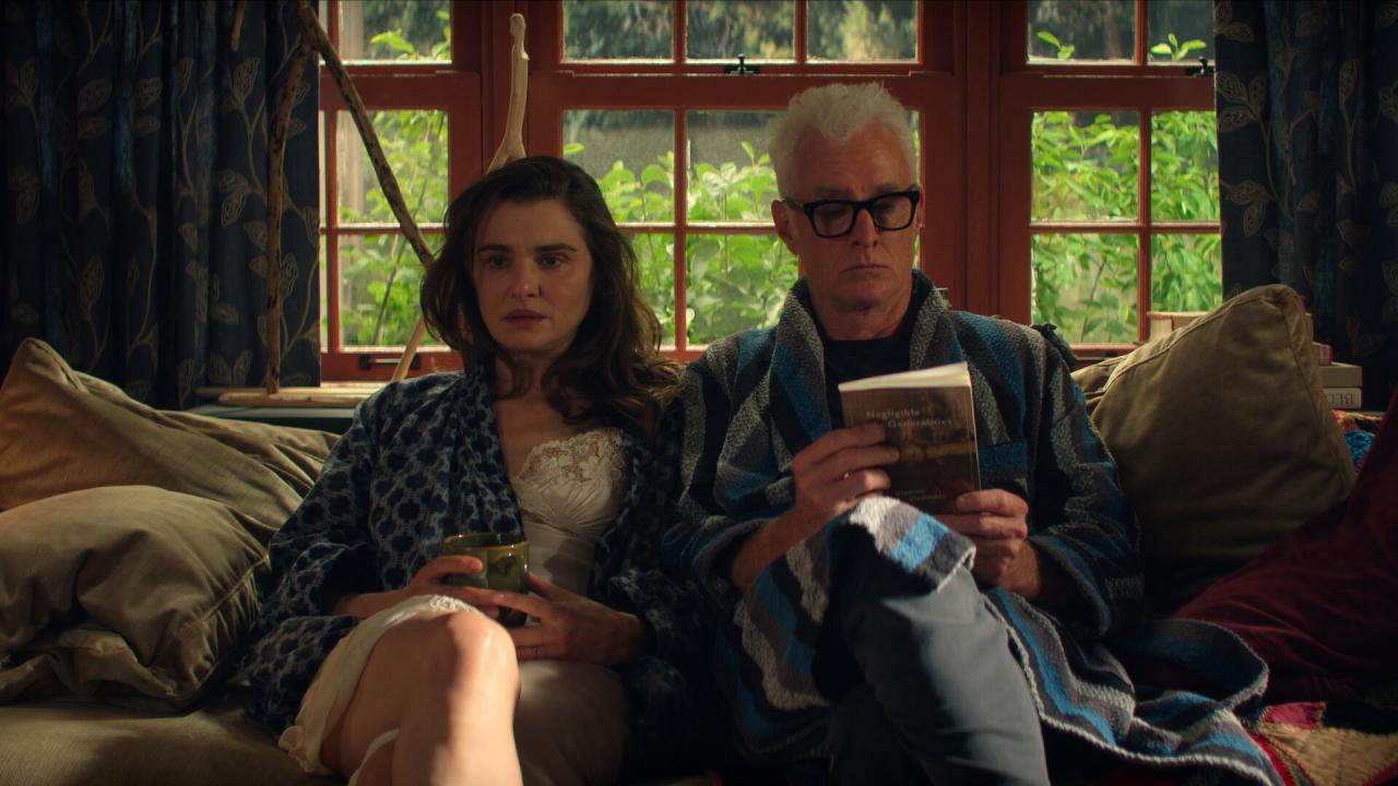 Le Délicieux Professeur V.