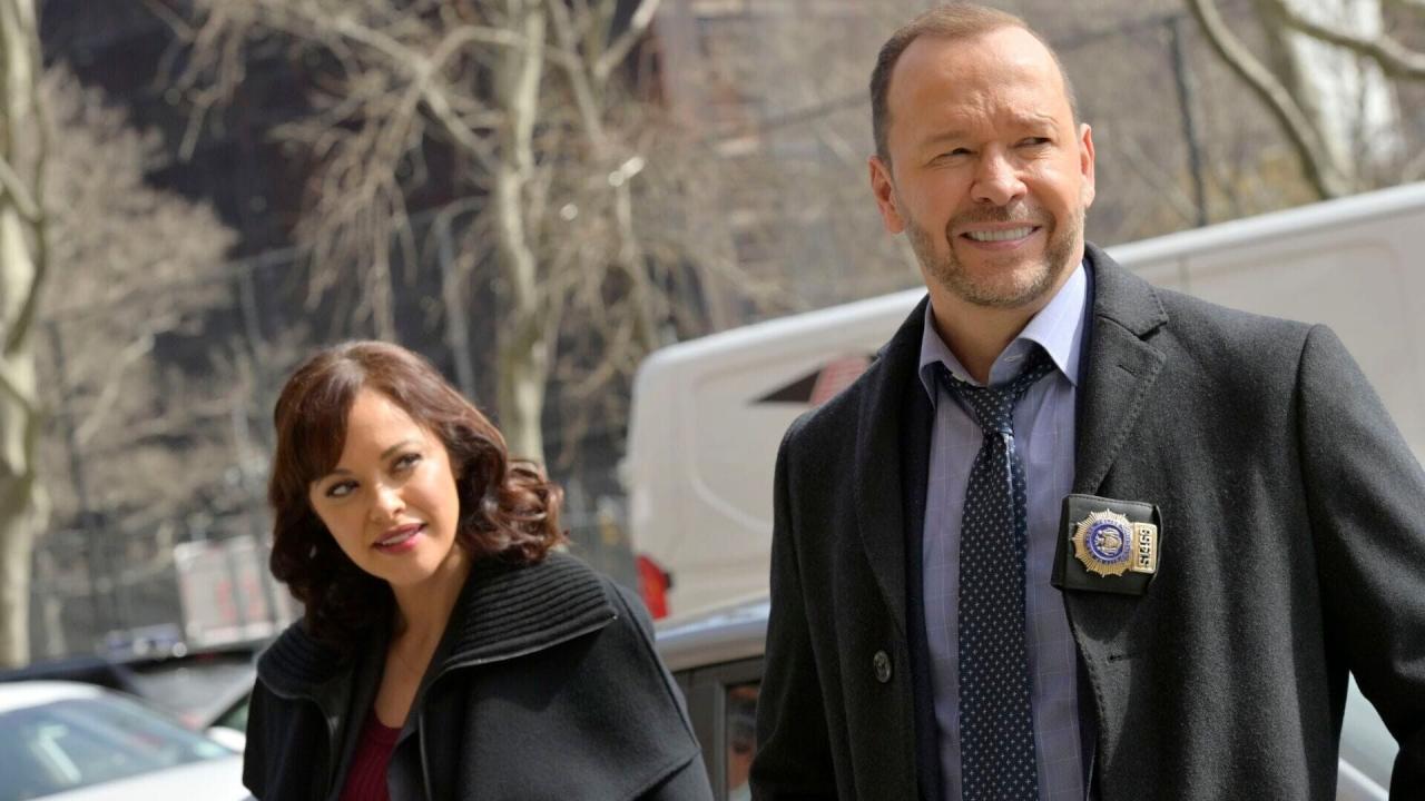 Blue Bloods S11 E13