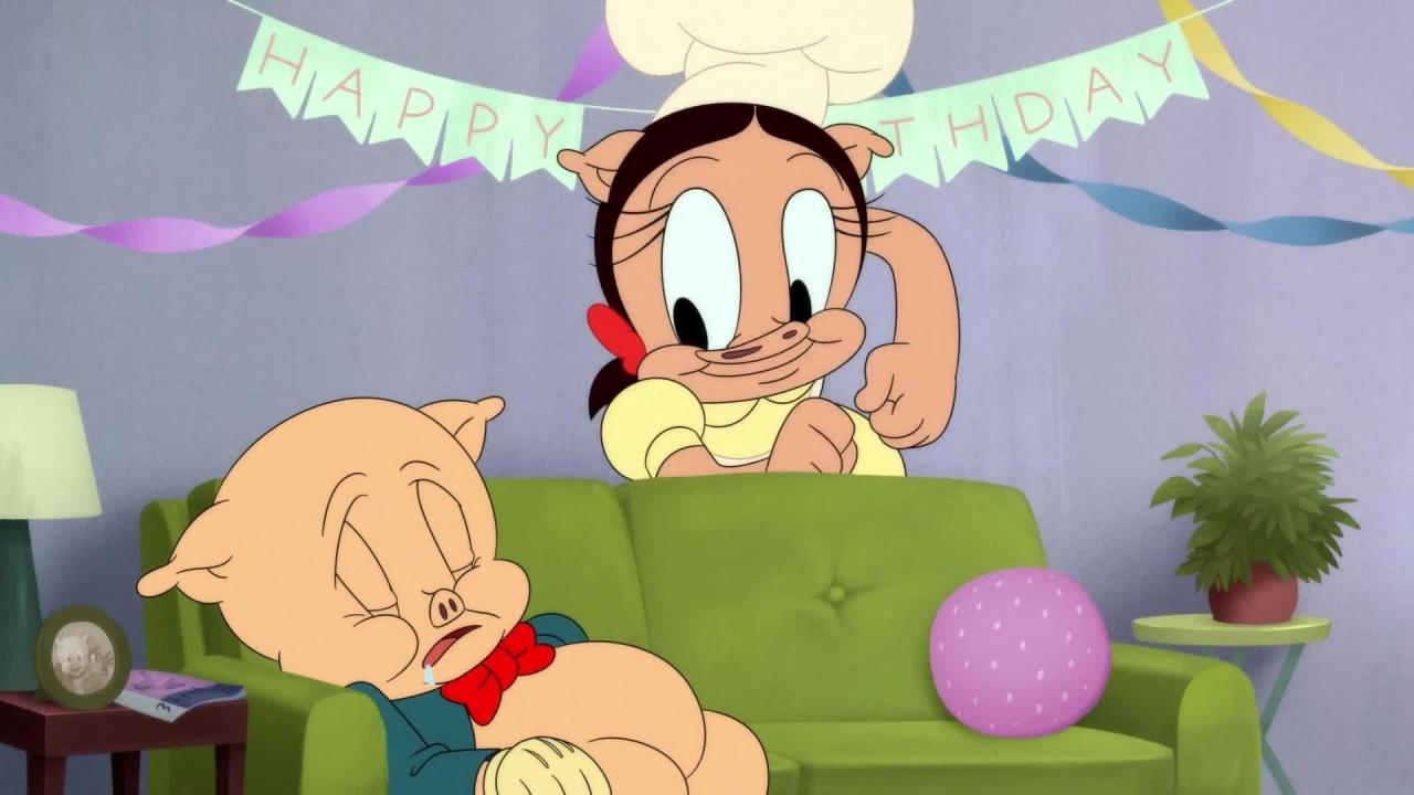 Looney Tunes Cartoons