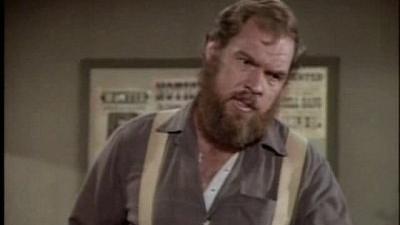 La Petite Maison dans la prairie