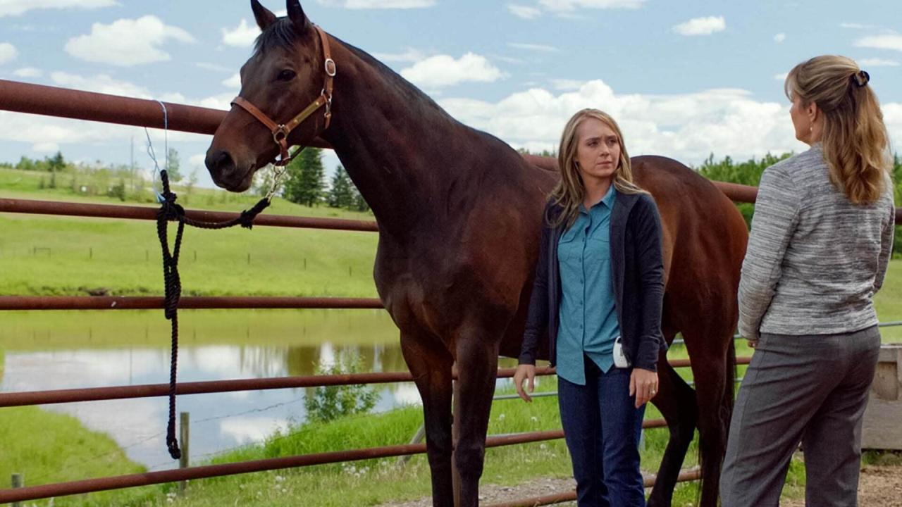 Heartland S11 E6