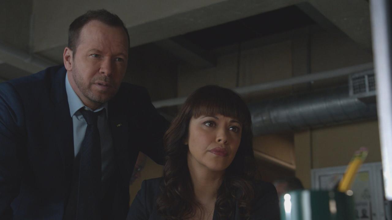 Blue Bloods S5 E14