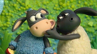 Voici Timmy