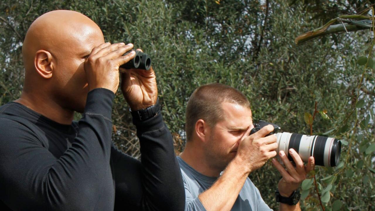 NCIS : Los Angeles S3 E10