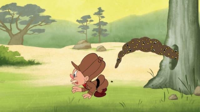 Looney Tunes Cartoons