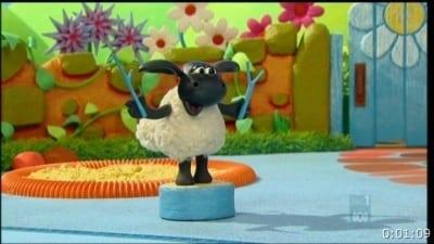 Voici Timmy