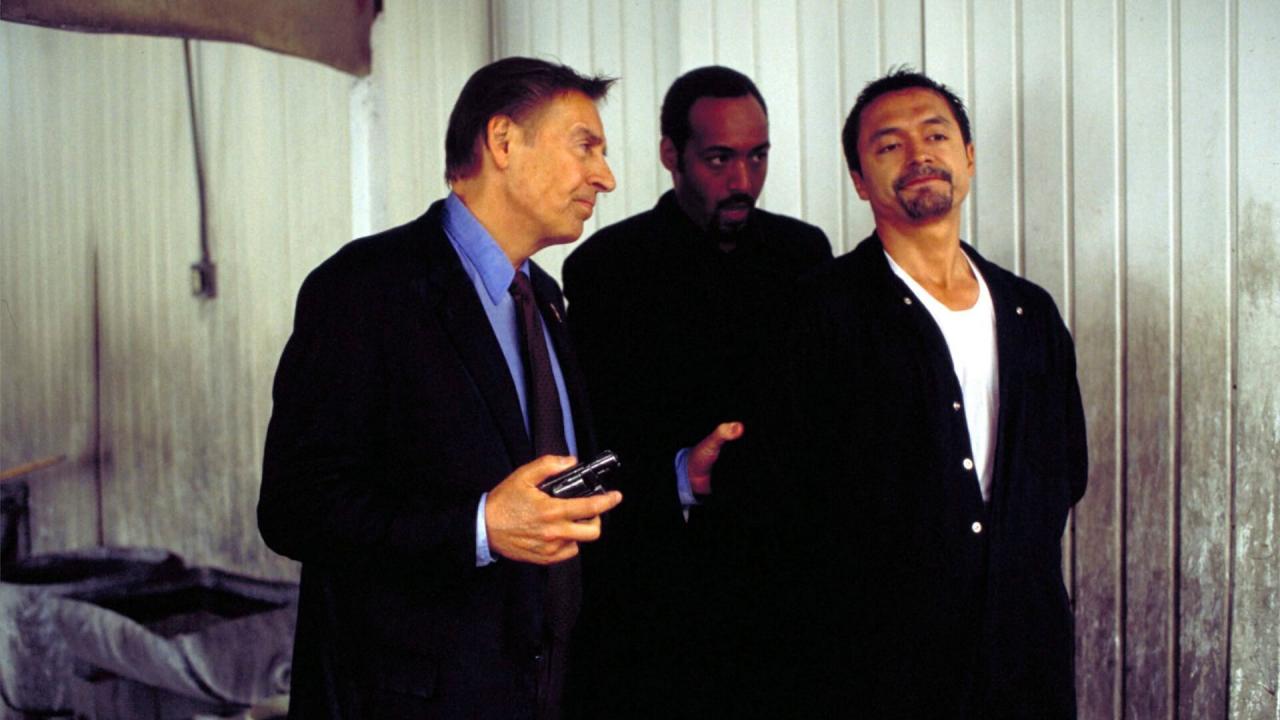 New York, police judiciaire S13 E12