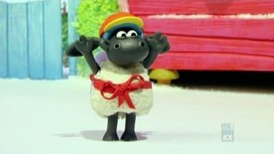 Voici Timmy