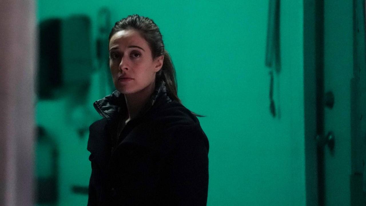 Chicago Police Department S9 E13