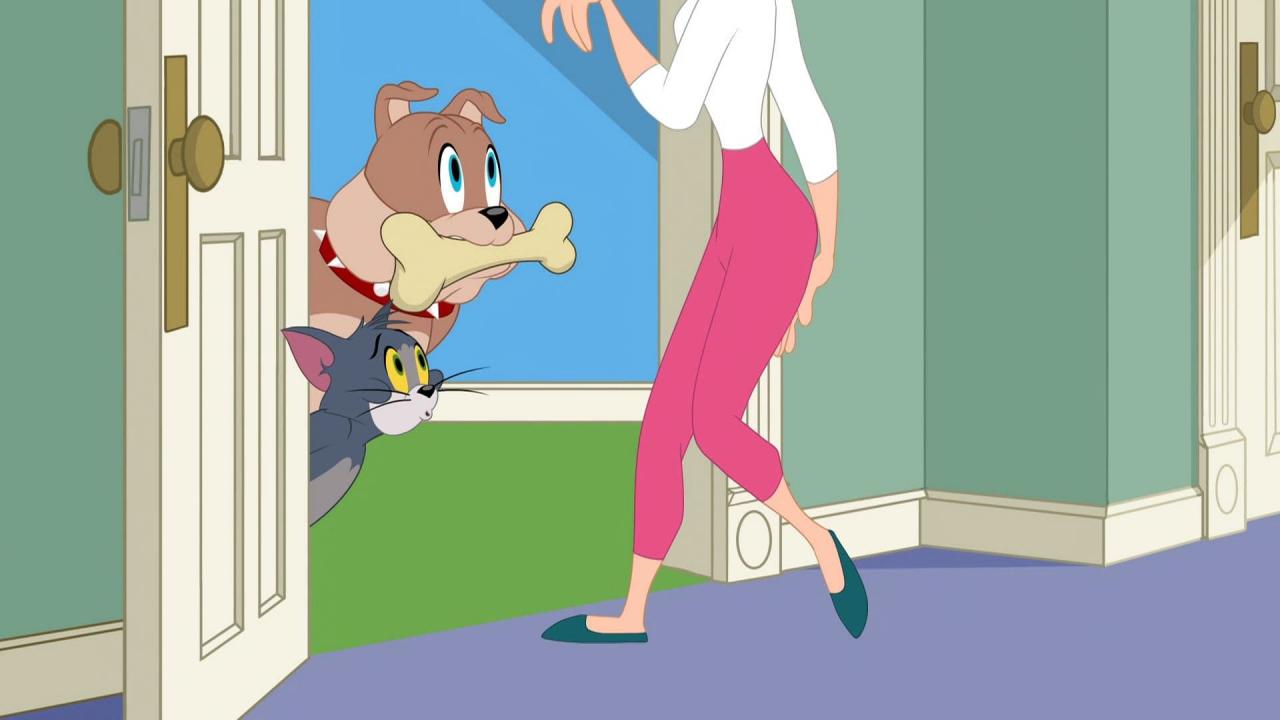 Tom et Jerry Show