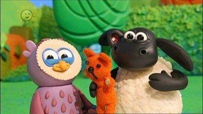 Voici Timmy