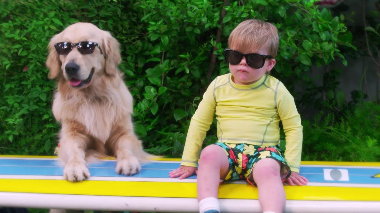 La Fête à la maison : 20 ans après