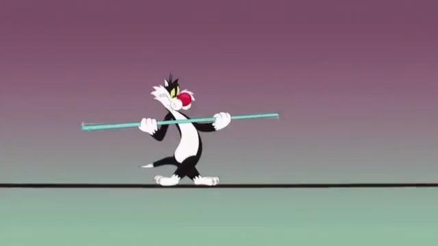 Looney Tunes Cartoons