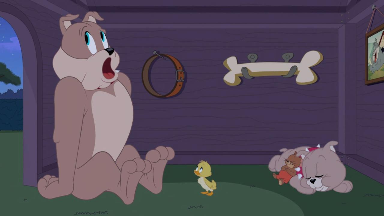 Tom et Jerry Show