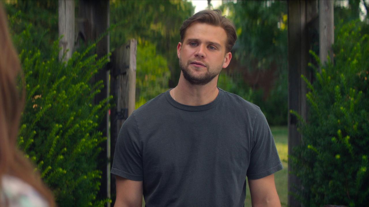 Le Délicieux Professeur V.