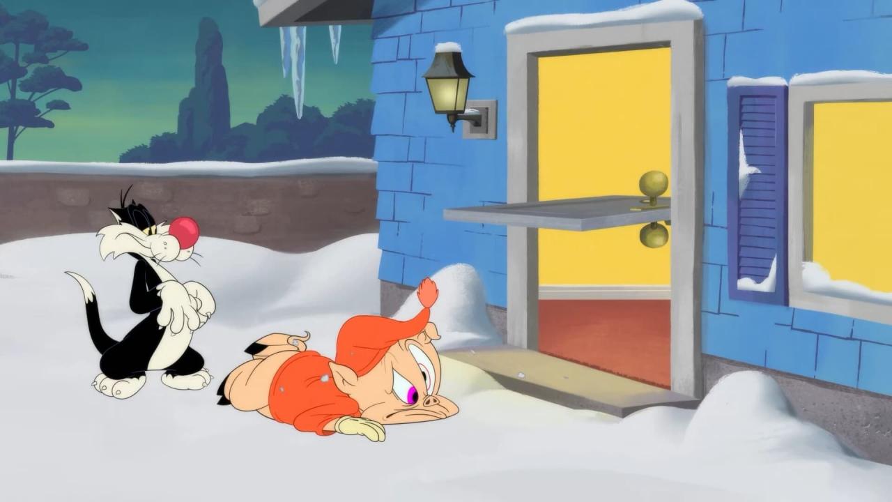 Looney Tunes Cartoons