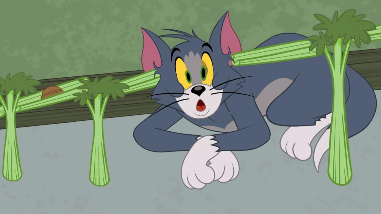 Tom et Jerry Show