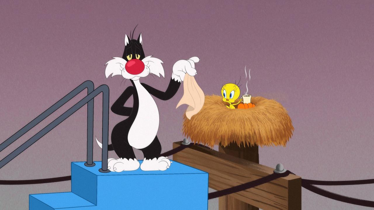 Looney Tunes Cartoons