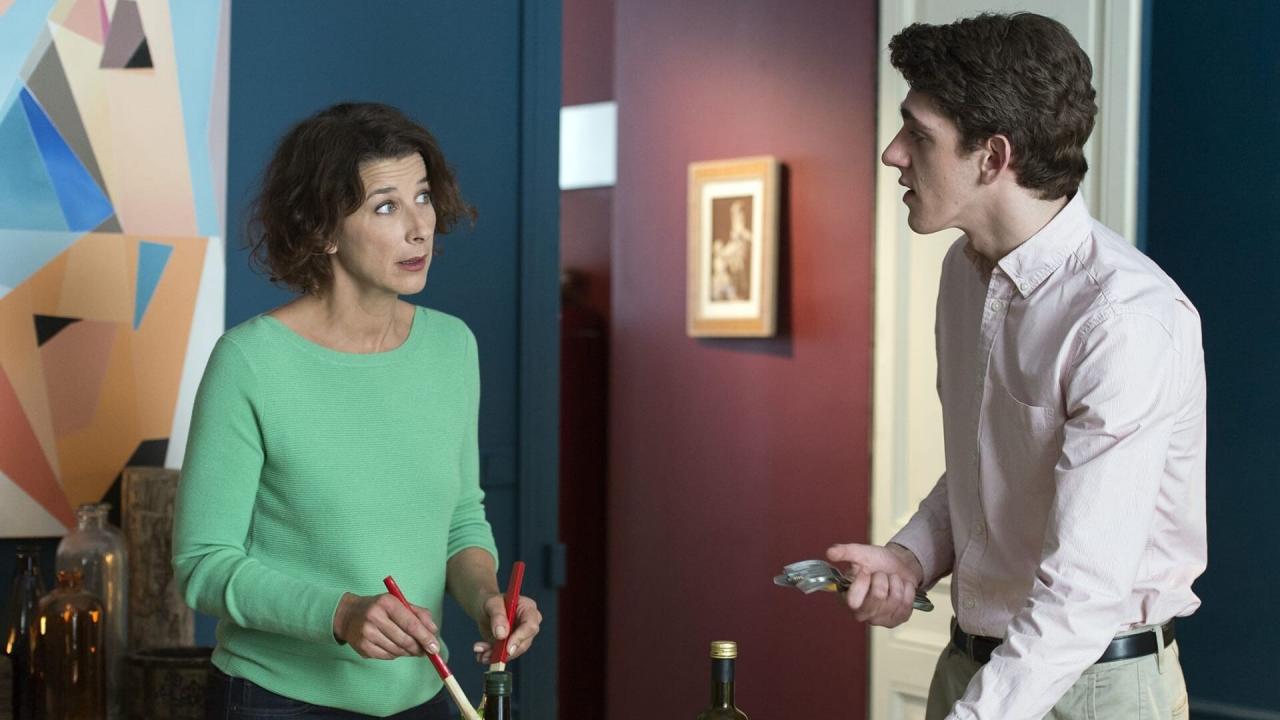 Fais pas ci, fais pas ça S9 E2