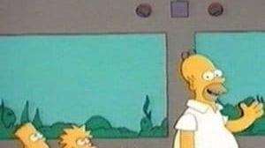 Les Simpson