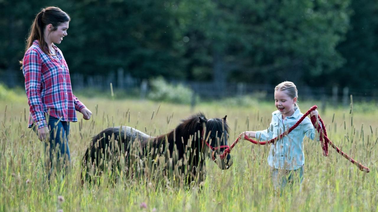 Heartland