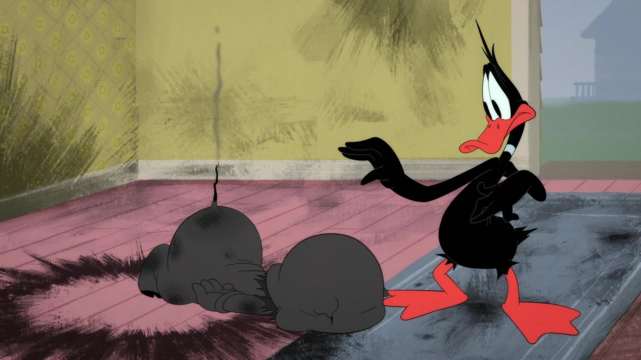 Looney Tunes Cartoons