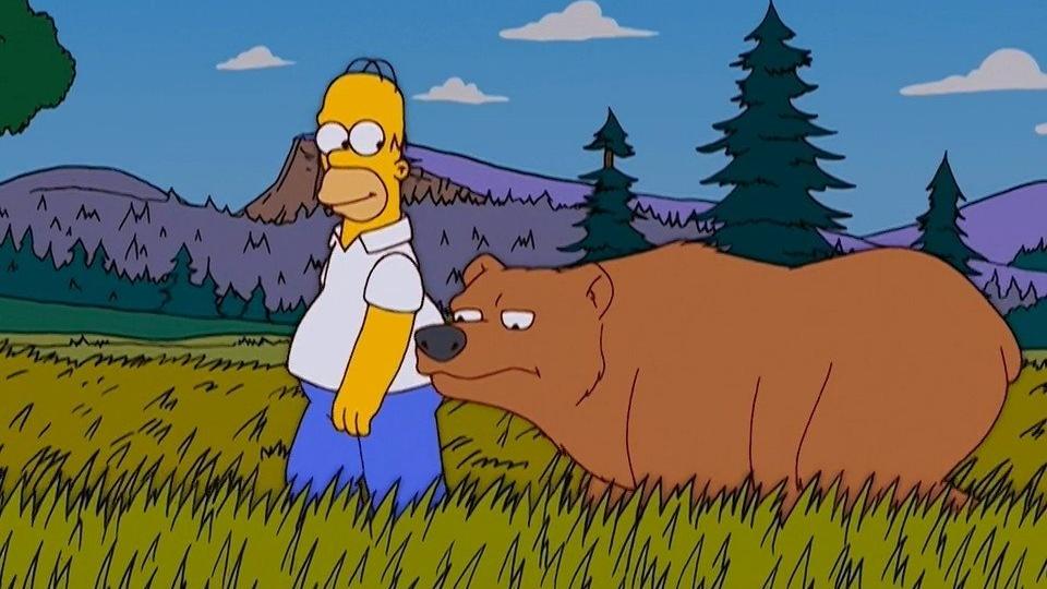 Les Simpson