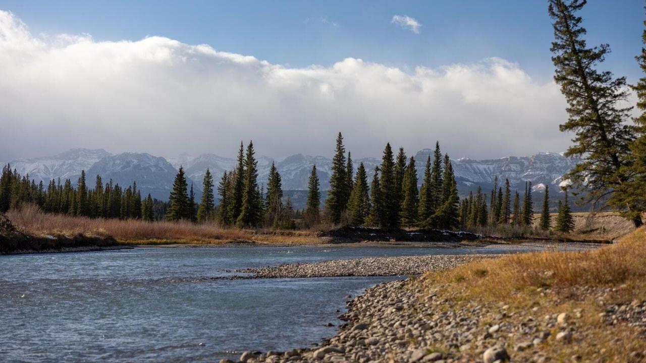 Heartland S16 E12