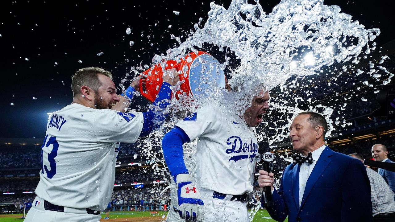 Fight for Glory: 2024 World Series