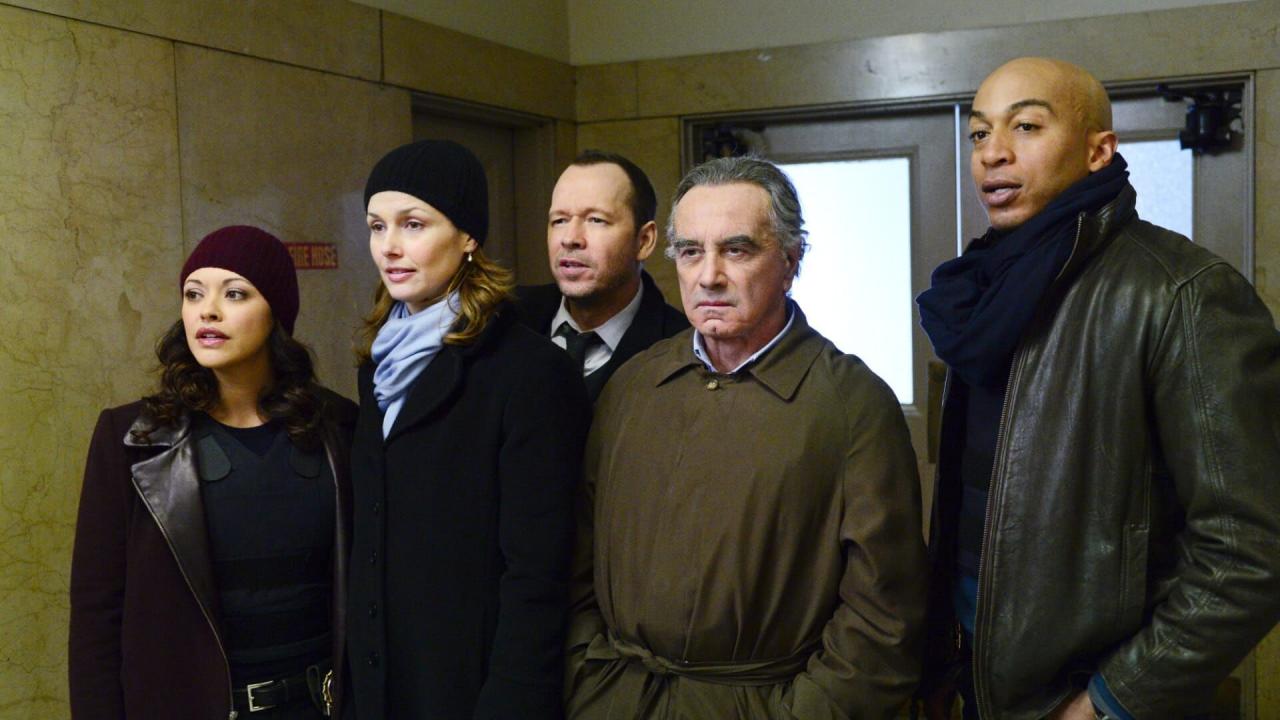 Blue Bloods S5 E15