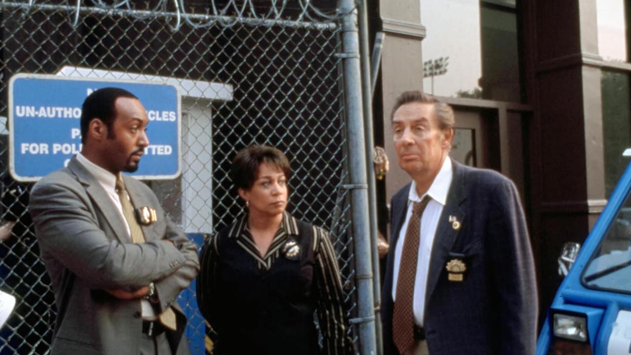 New York, police judiciaire S13 E13