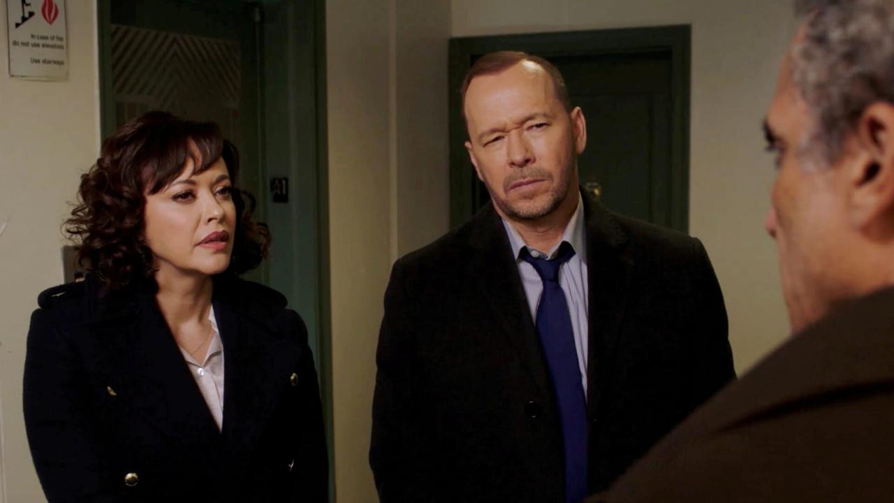 Blue Bloods S14 E6