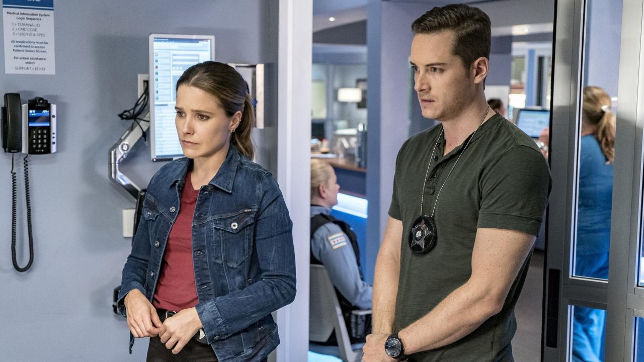 Chicago Police Department S9 E14