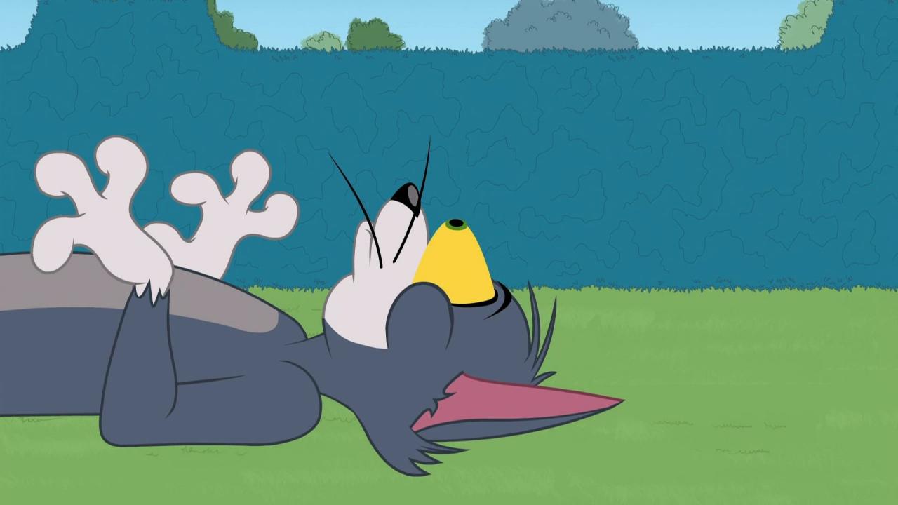 Tom et Jerry Show