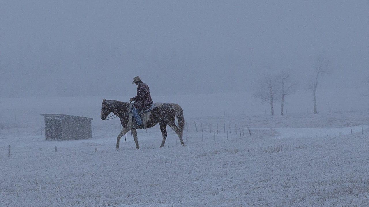 Heartland