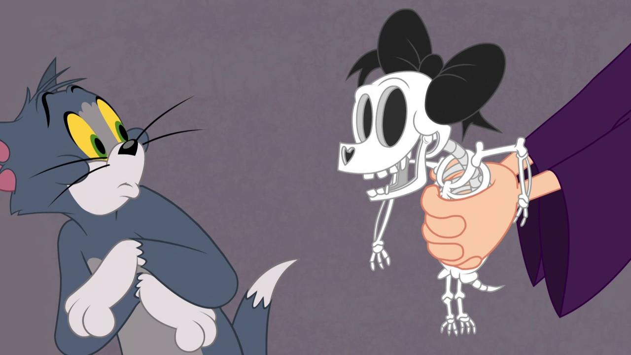 Tom et Jerry Show