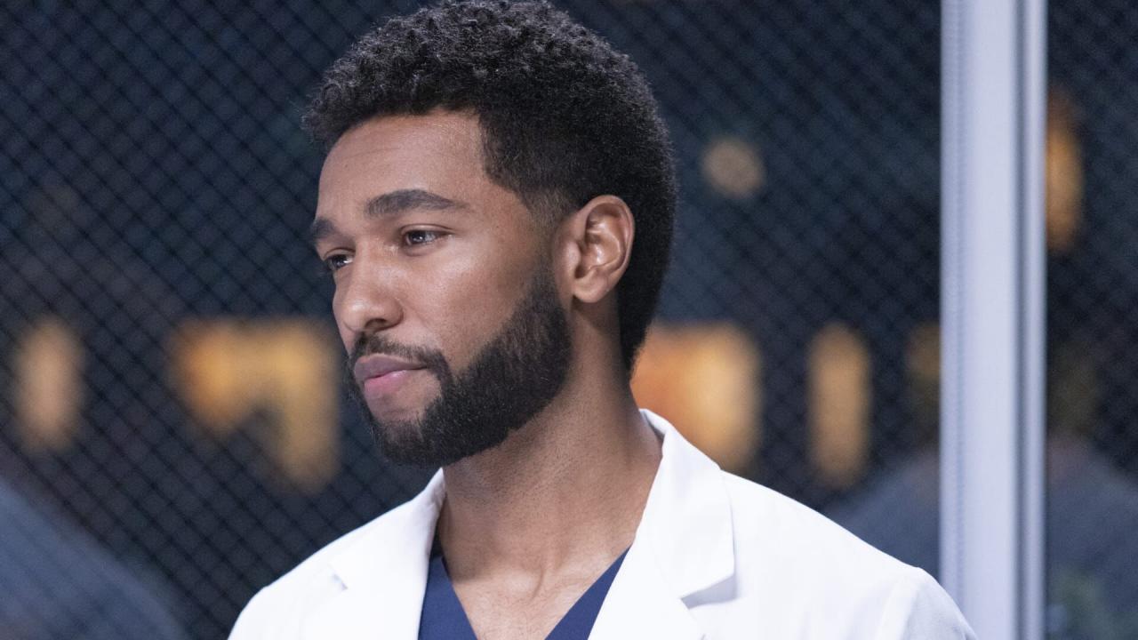 Grey's Anatomy S19 E4