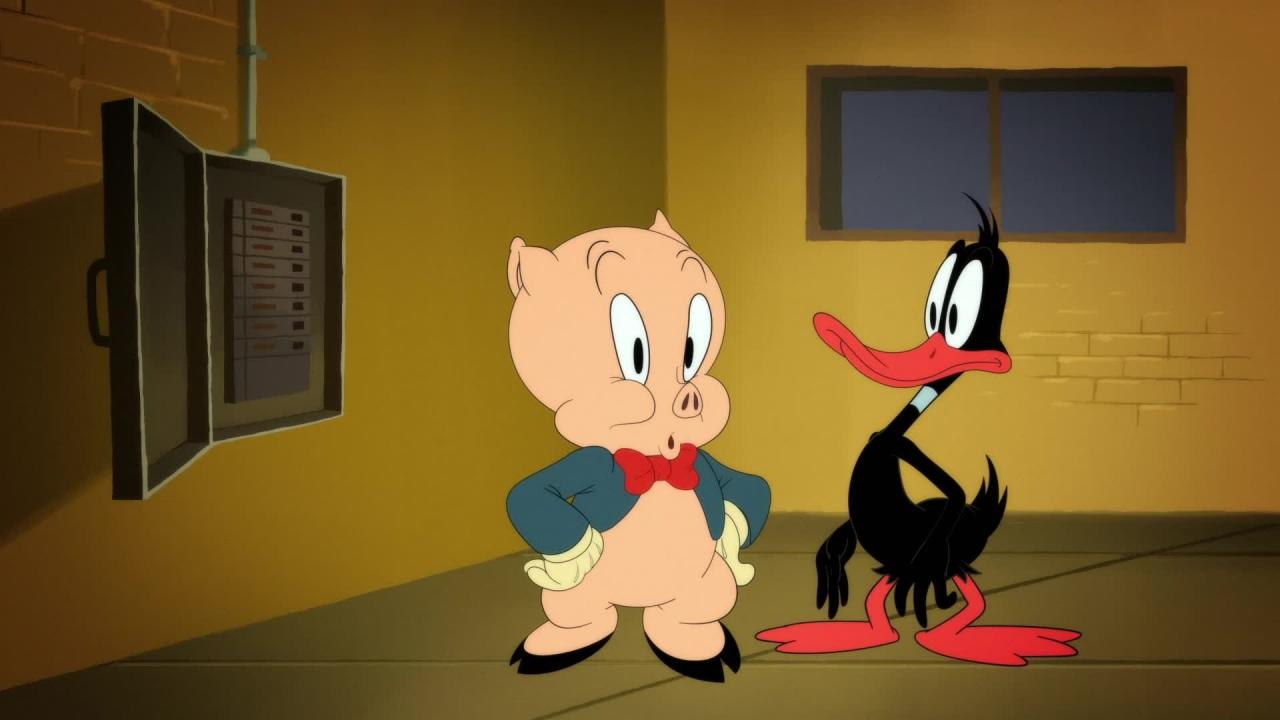 Looney Tunes Cartoons