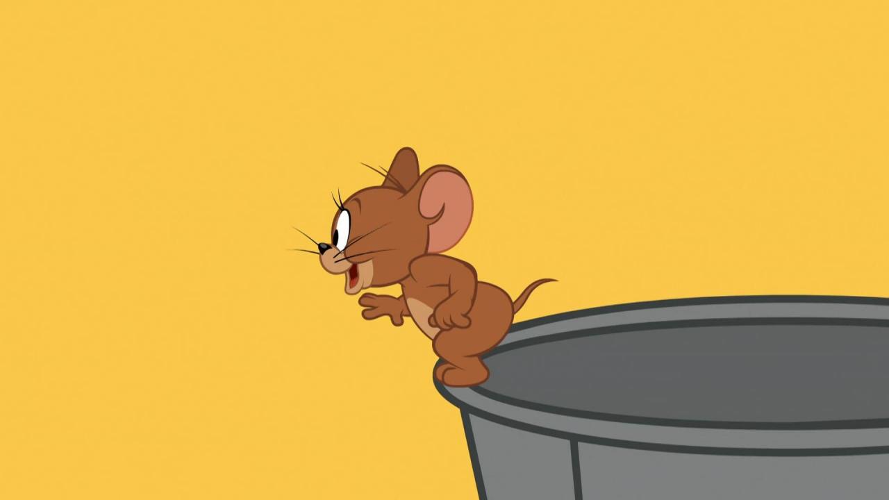Tom et Jerry Show