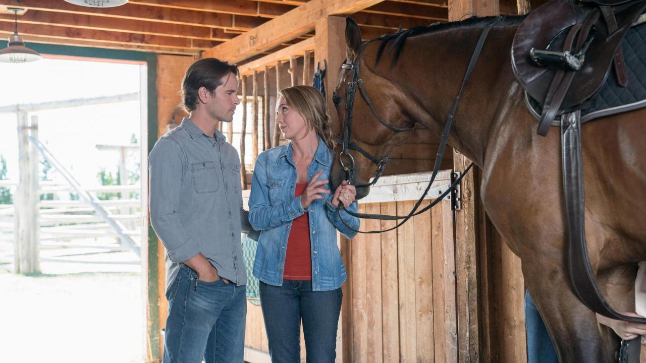 Heartland S11 E8
