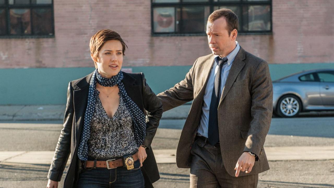 Blue Bloods S3 E13