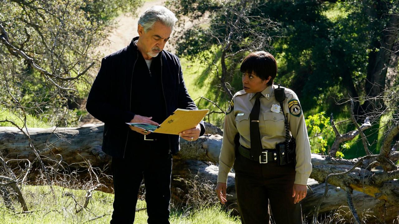 Esprits criminels S15 E8