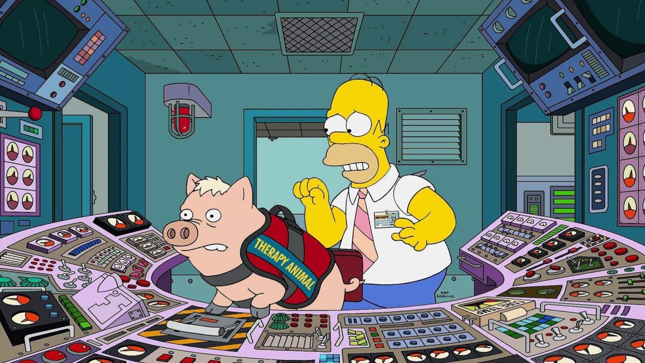 Les Simpson S28 E11