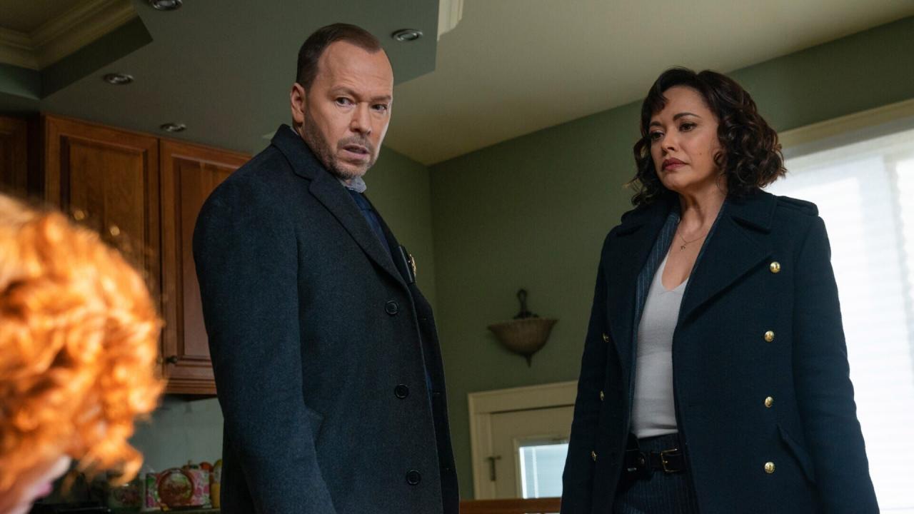 Blue Bloods S14 E8