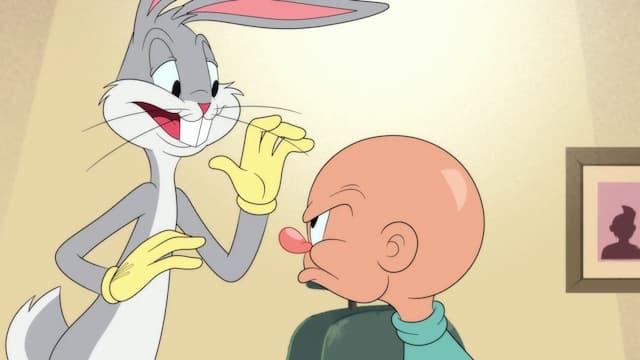 Looney Tunes Cartoons